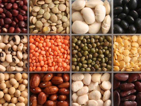 продукти для спалювання жиру