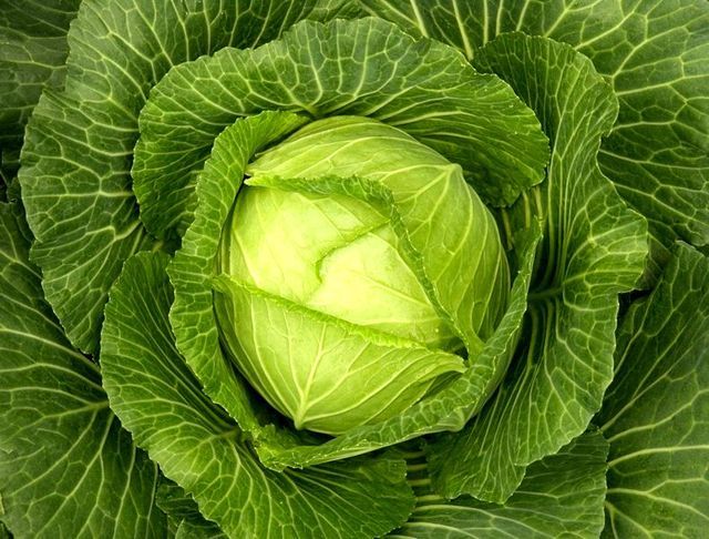 Найкращі продукти для схуднення та краси