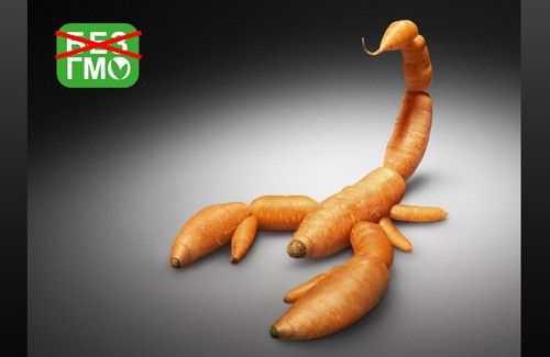 Чому Америка не хоче відмовитися від генетично модифікованих продуктів?