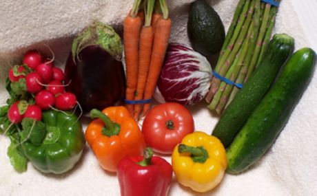 Які продукти стимулюють апетит?