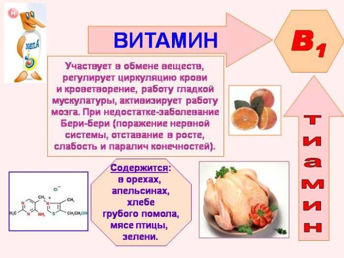 Властивості вітаміну В1
