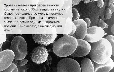 Залізо під час вагітності